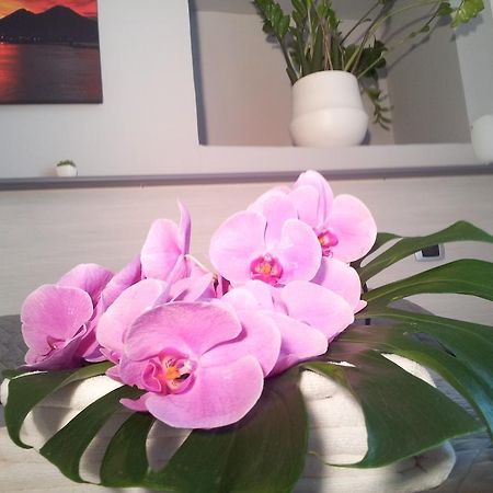 B&B Solimena Napoli Eksteriør billede